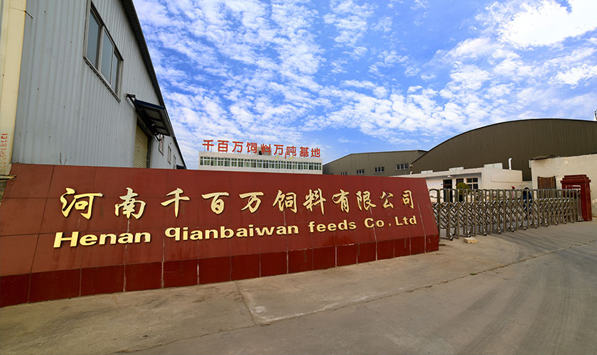 積蓄實(shí)力 專(zhuān)業(yè)專(zhuān)注